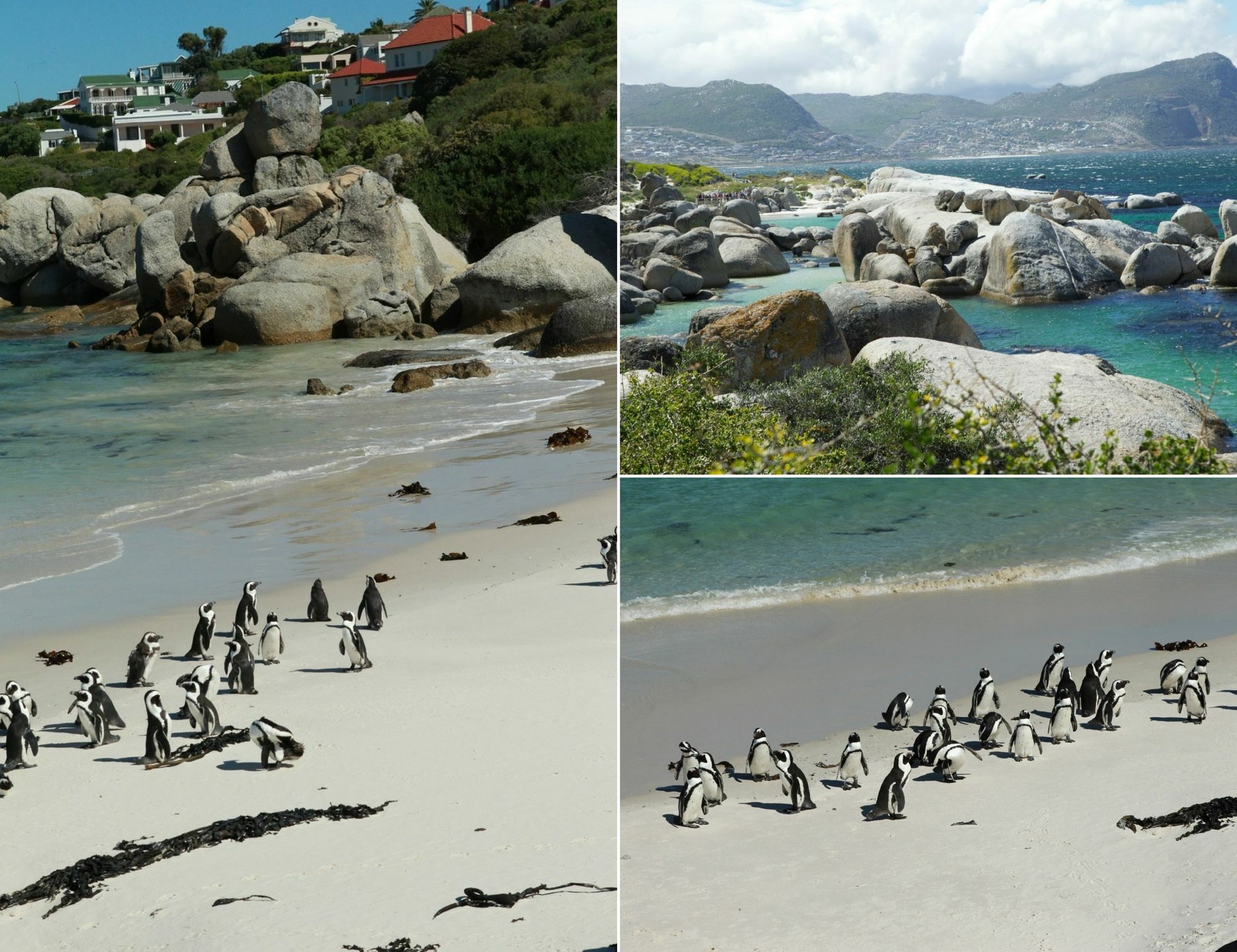 Mariner Guesthouse & Villa Simon's Town Exterior photo